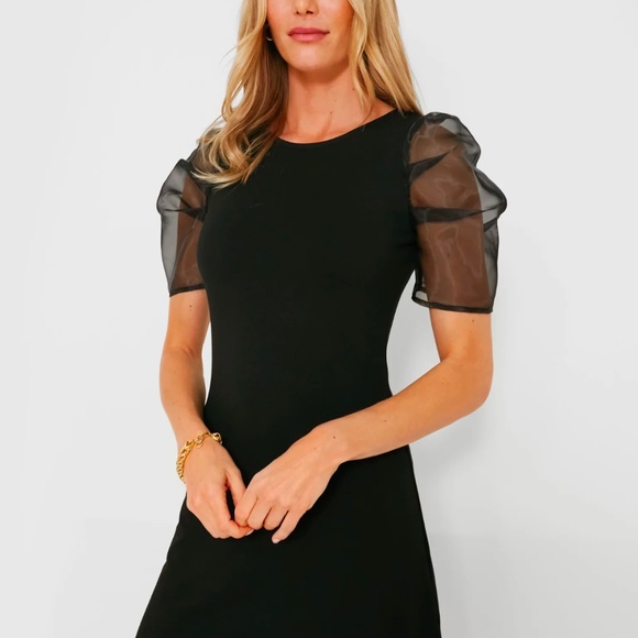 Hyacinth House Black Tulle Sleeve Darby Dress - Picture 2 of 9